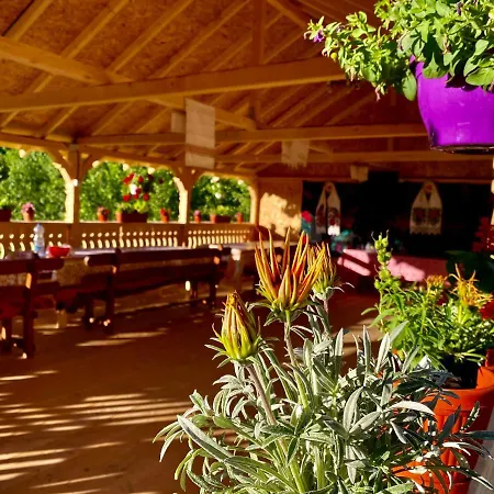 Lodge Floare De Maramures 2 *