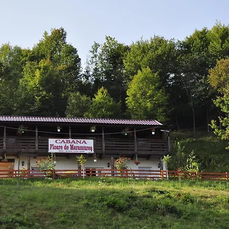 Floare De Maramures 2 * Sighetu Marmaţiei